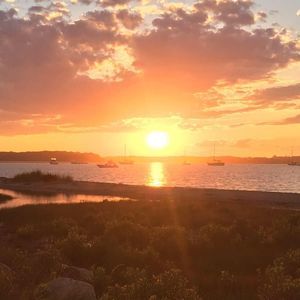 Meet your Posher, Marya